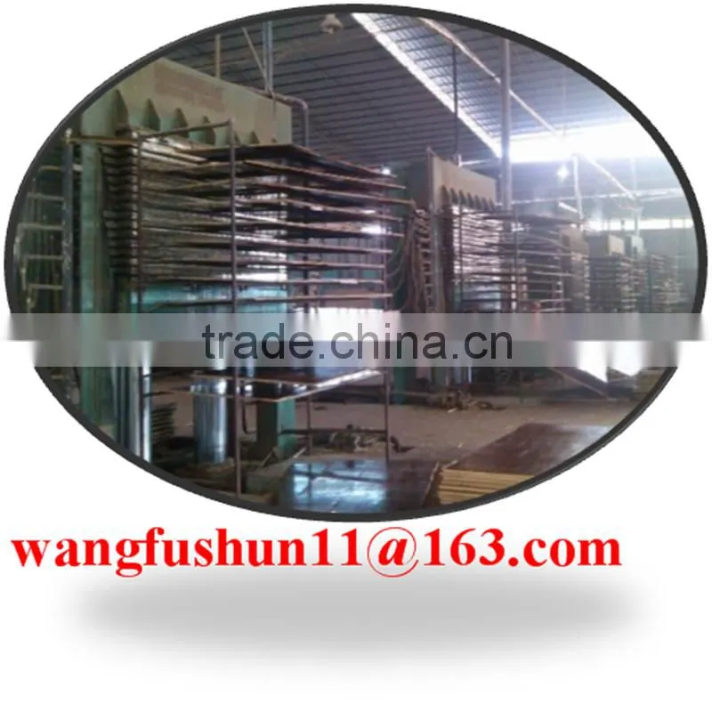 Dubai poplar LVL for door core best quality Dubai poplar lvl