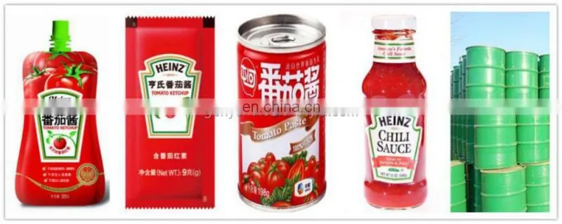 cold crush fresh tomato paste /jam/ketchup production line for sale