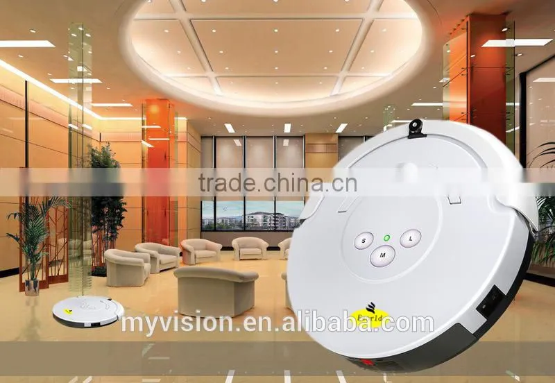 Outdoor vacuum cleaner with vacuum cleaner motor and road sweeper brushes