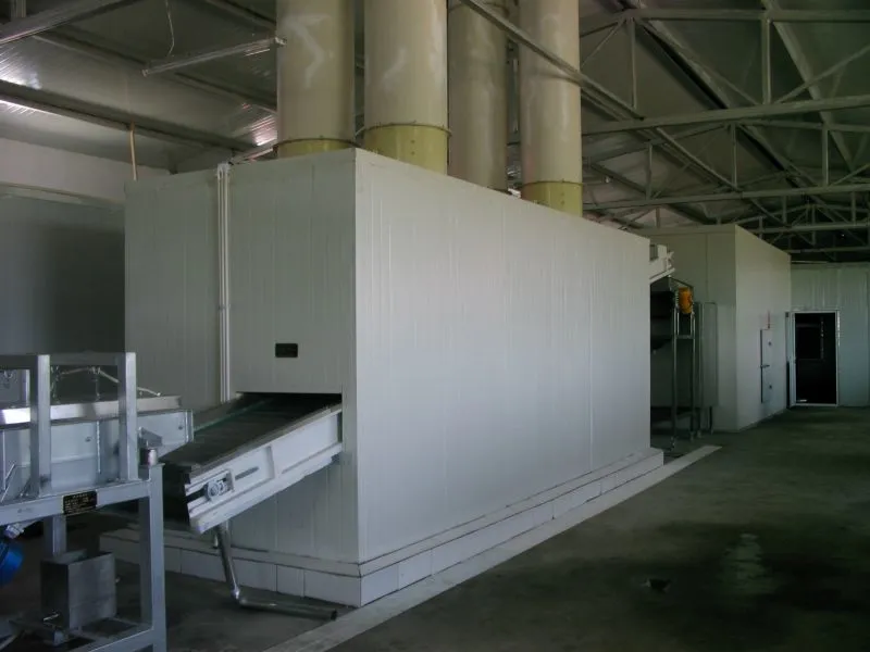 China Frozen Vegetable Production Line/Green Peas Quick Freezing Processing Machine