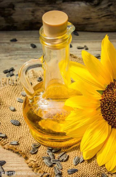 Oil Pressing Machine Tea Seed Sesame Hydraulic Press, Commercial Full-automatic Vertical Press, Sesame Oil Machine