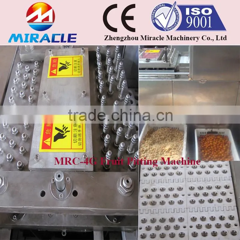 Fast Delivery Date Palm Core Seed Removing Machine From Fruit Process