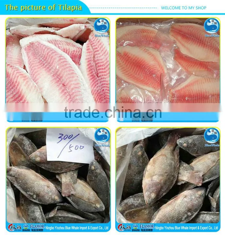 Frozen Tilapia Fish With Frozen Tilapia Fillet