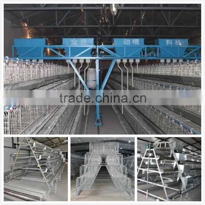 Cheap cage for growing broiler / broiler battery cage / broiler cage