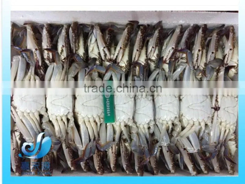 frozen blue swimming crab 100g -150g 150-200g