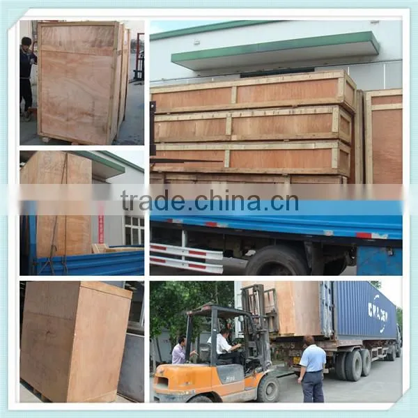 2015 New Computer controller Peanuts/Sunflower Seeds Filling Machine (+0086-18321225863)