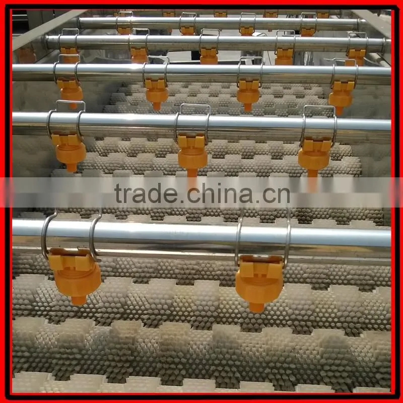 Commercial Red Date Washing Machine|Automatic Olive Cleaning Machine