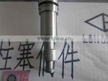 Fuel Injection Pump Plunger,auto parts,diesel engine parts