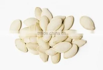 Roasted Salted Shin Skin Pumpkin seeds