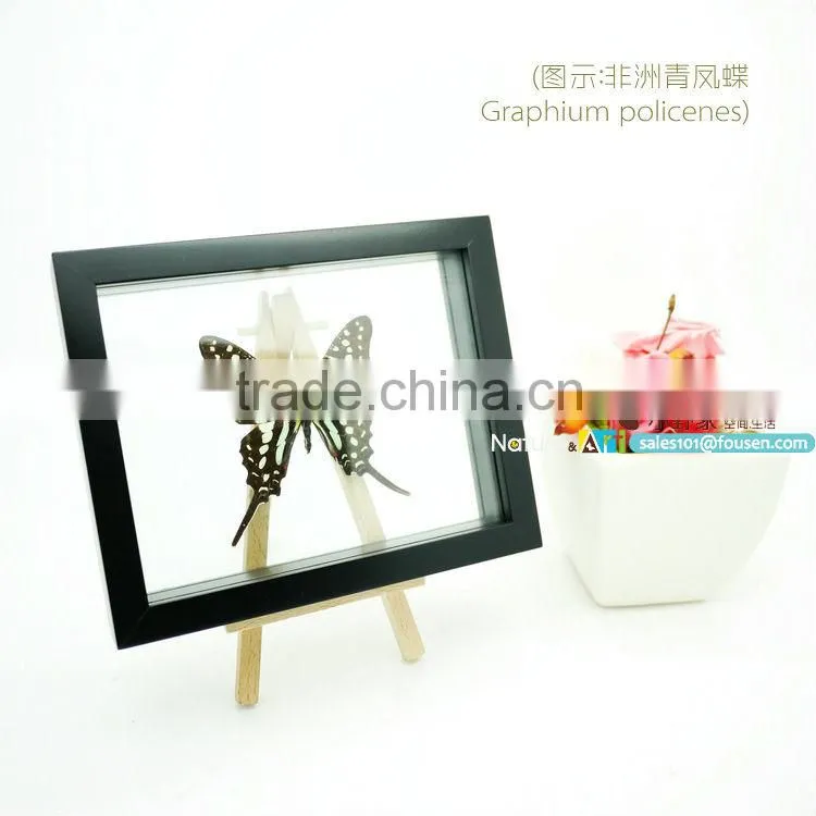 FOUSEN(039) Nature& Art natural gifts and crafts glass souvenir