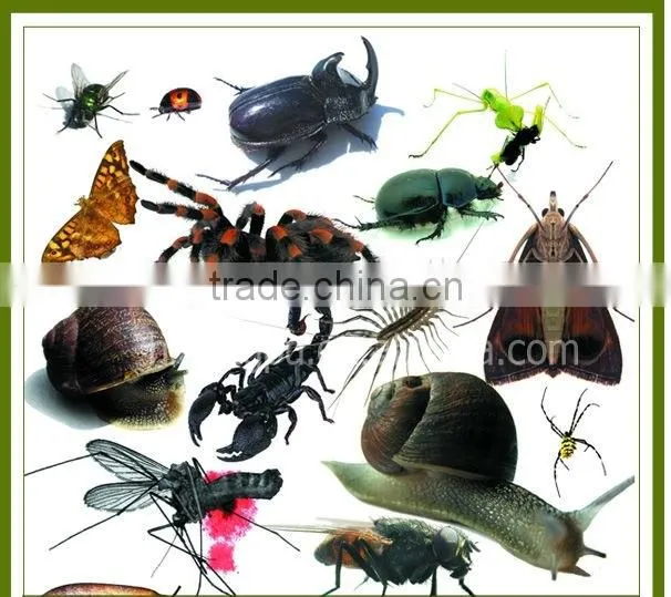 15W IP65 3.5m Solar Powered Pest Killer mosquito light uv lamp insect killer