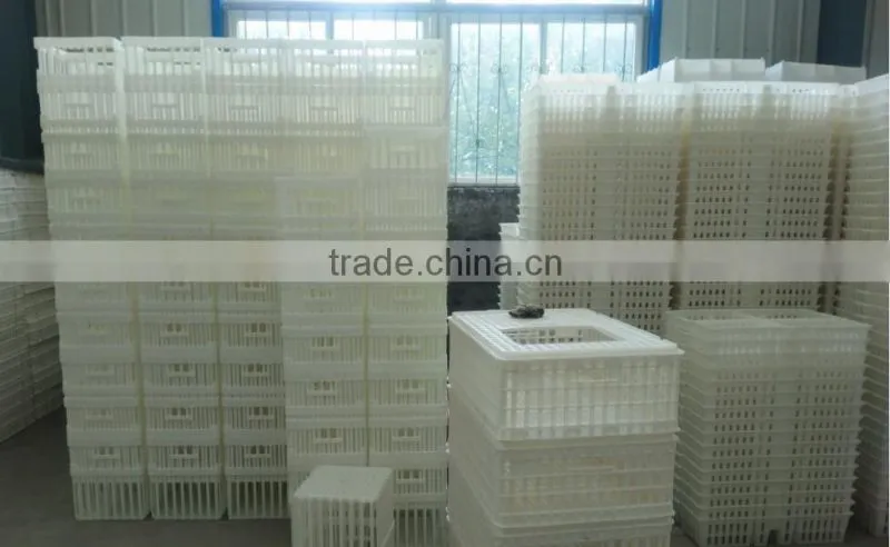 Transport Cages for Chicken