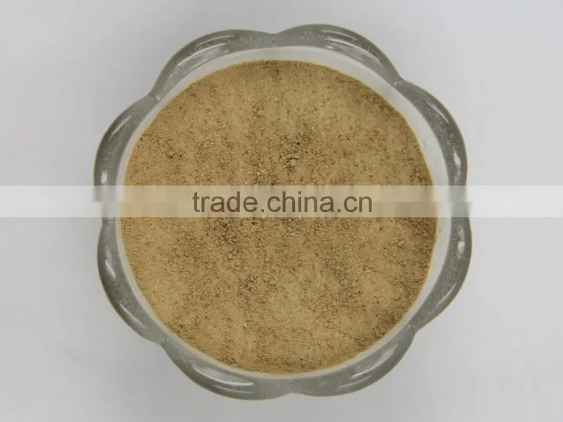 High quality champignon Shiitake Mushroom Extract powder