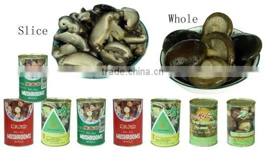 shiitake mushroom