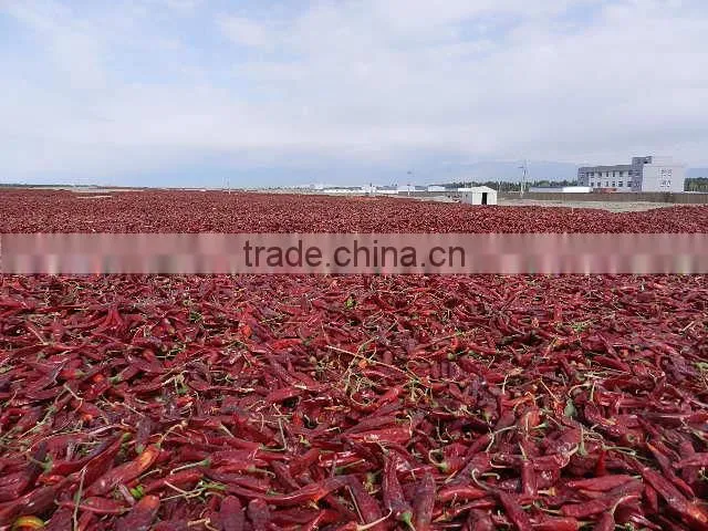 2015 Crop Sweet Paprika Powder 120 Asta