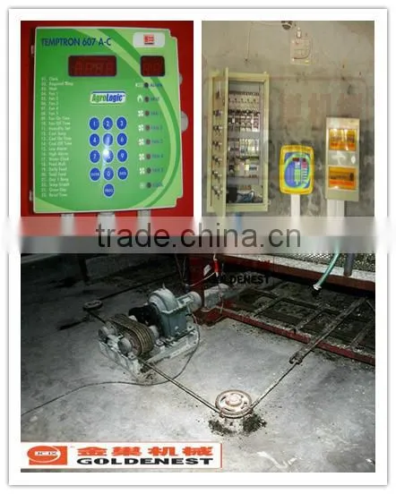 poultry automatic feeding and drinking system