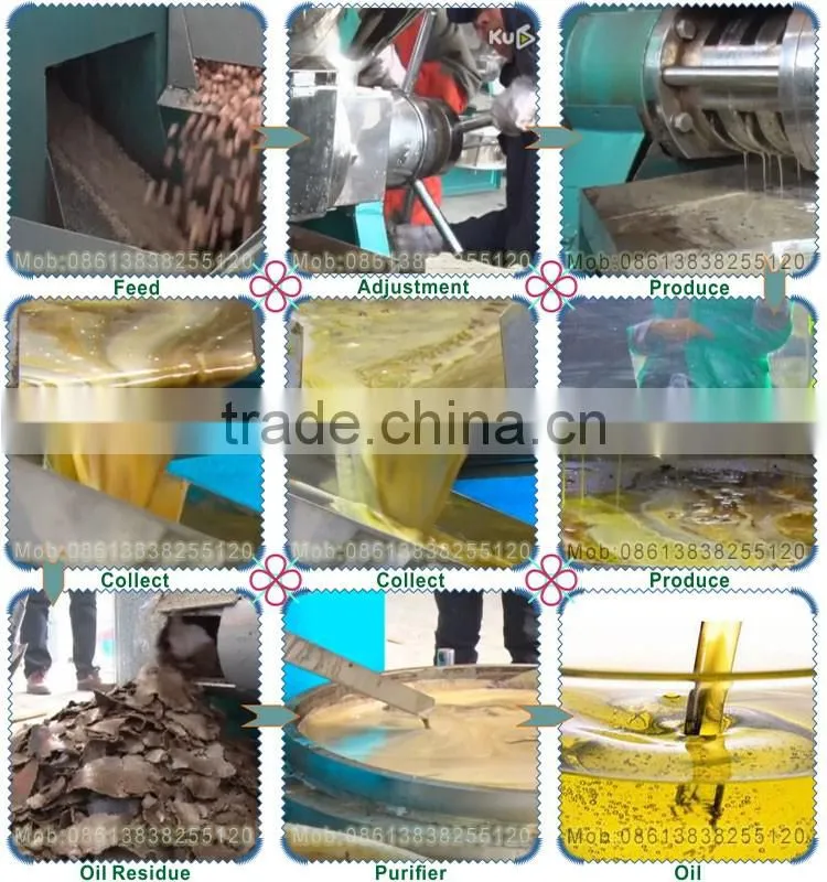 Machine Manufacturers Prickly Pear Seed Oil Extraction Machine