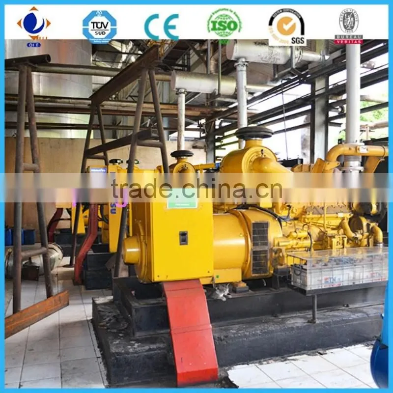 30TPH palm fruit oil extraction plant
