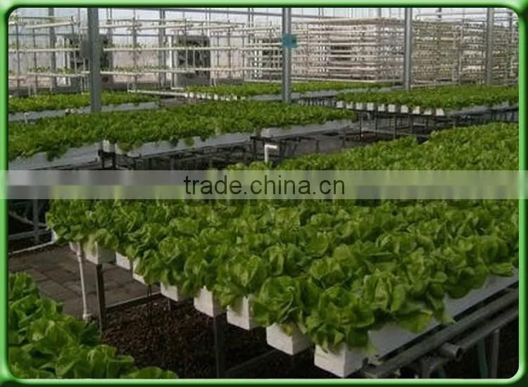 Indoor hydroponics growing system