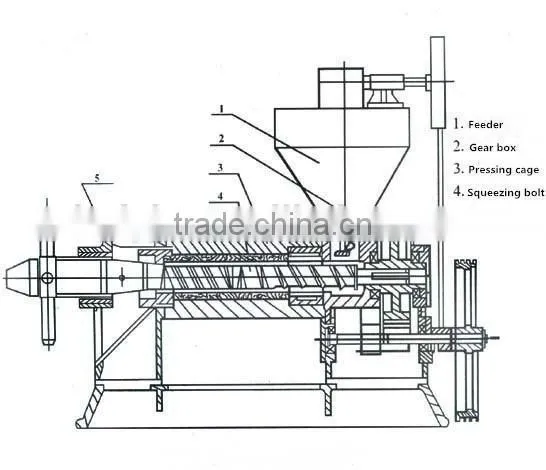SGS approved hot selling oil press oil expeller