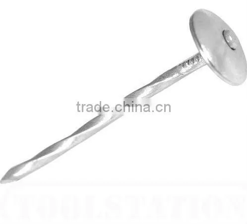 common iron nail