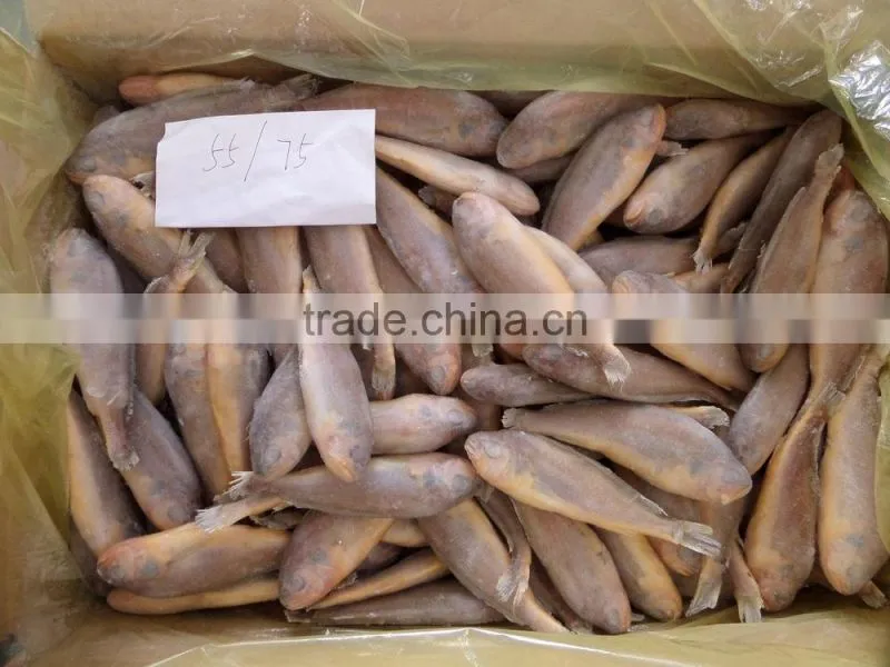 Frozen Yellow Croaker 55/75 g/pc