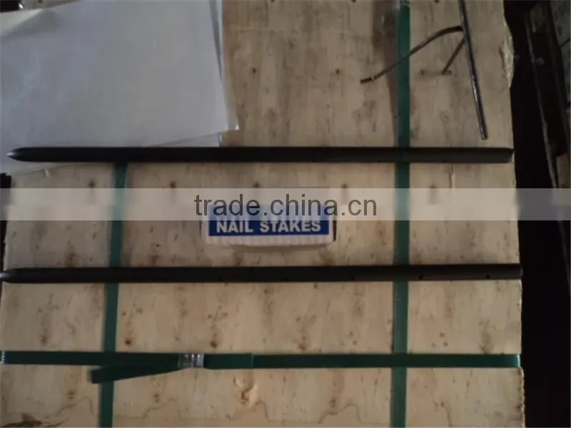 flat balck painted steel drawn nail stake on sale china supplier