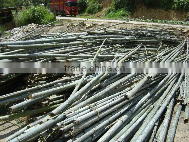 Bamboo round Fruit Toothpicks