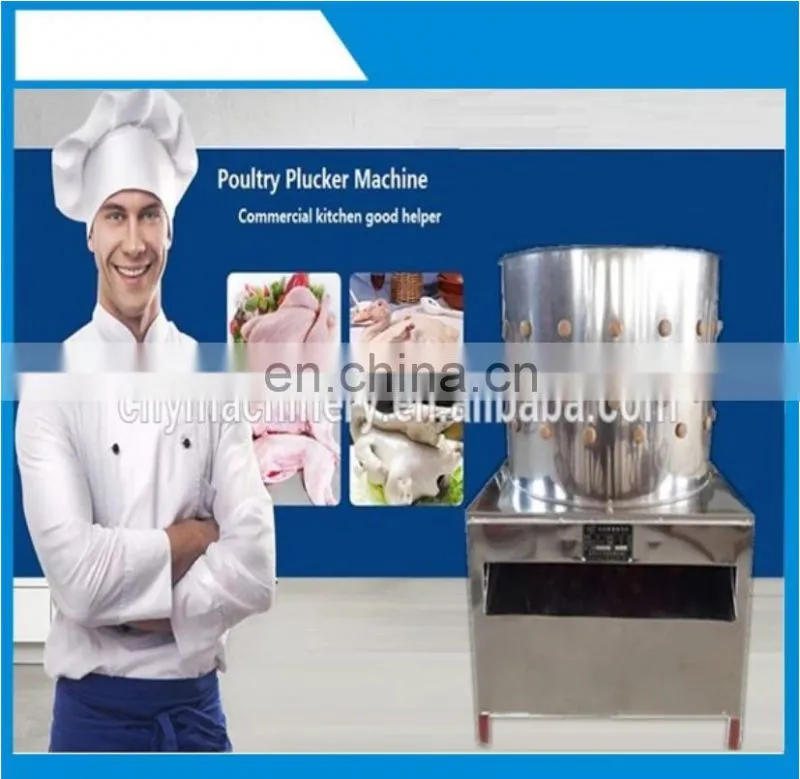 TM-60 stainless steel chicken plucking machine / poultry machine / slaughting machine for chicken hair for processing machine