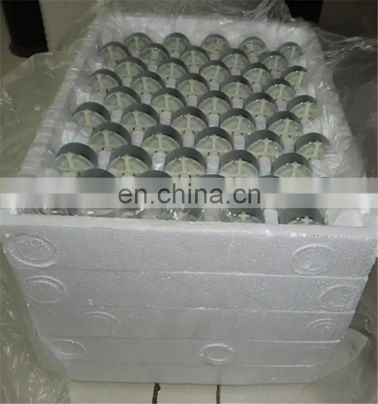 RF-500TB-12560 Kind Shooting DC Motor
