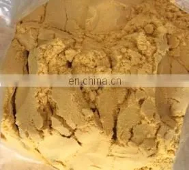 Korea Market of Seabuckthorn Powder Sea buckthorn Fruit Powder