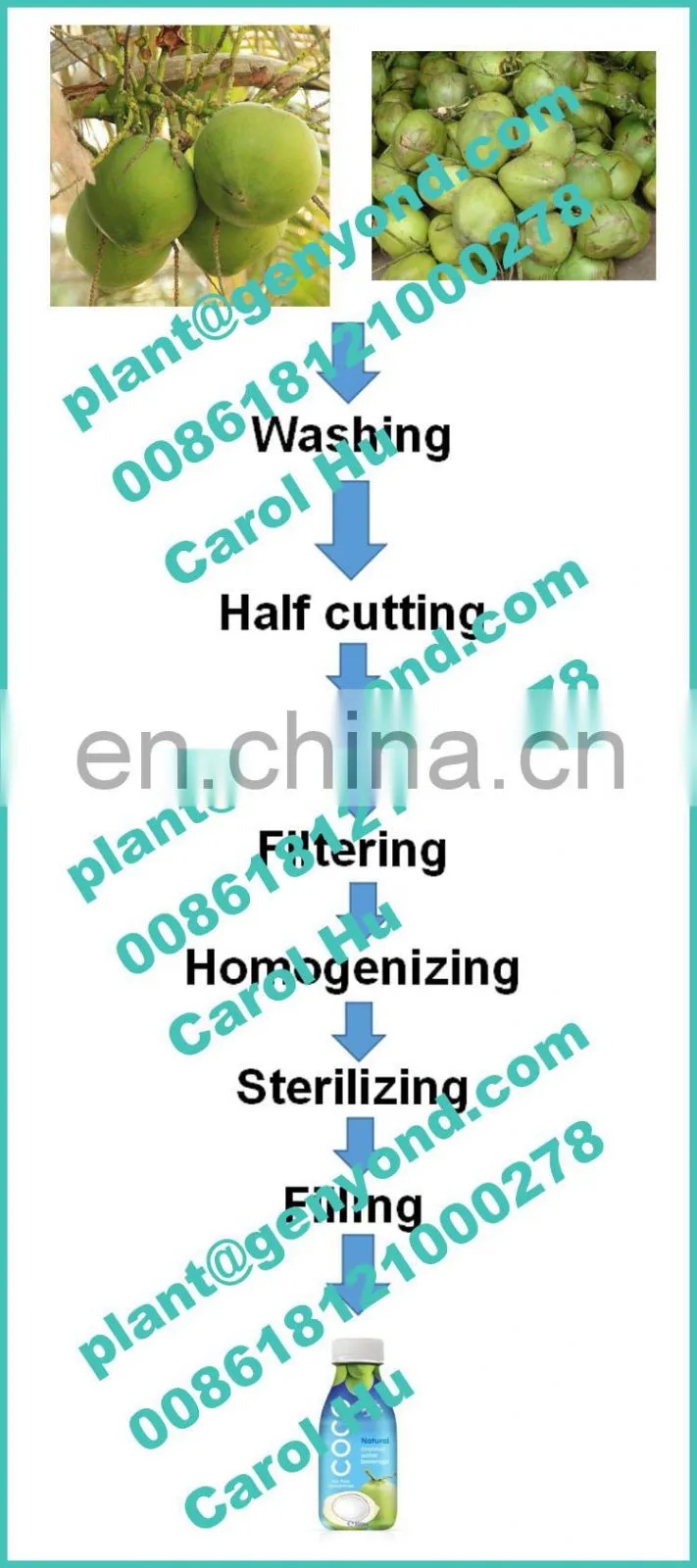 Professional factory coconut water processing plant cost
