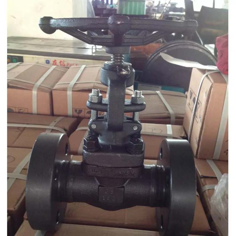 fgv-01.jpg.webp