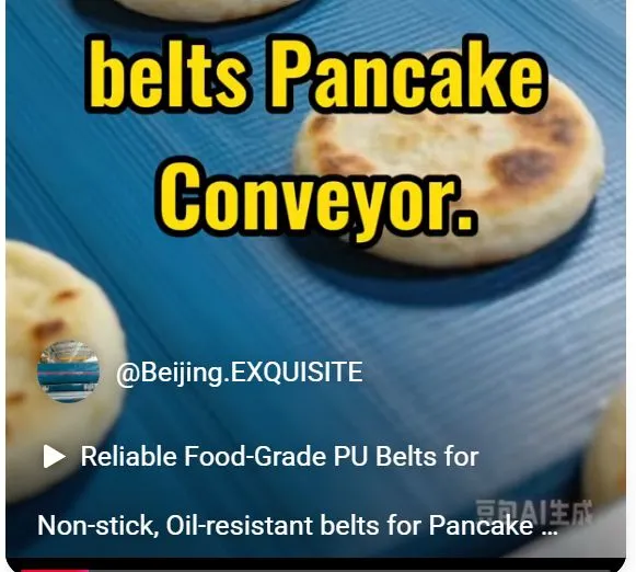 Non-stick, Oil-resistant belts for Pancake Conveyor