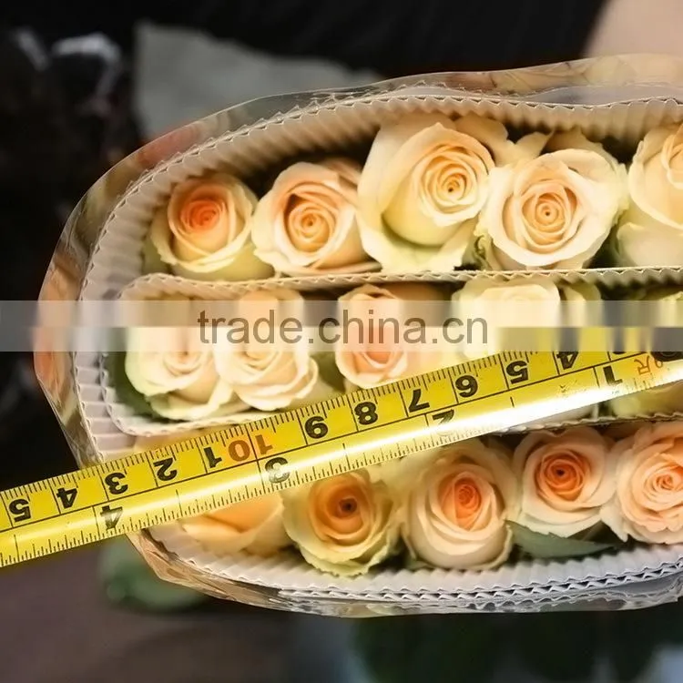 High quality promotional champagne color rose flowers