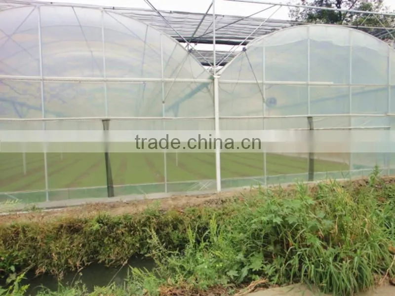 Greenhouse Net Covered Outside