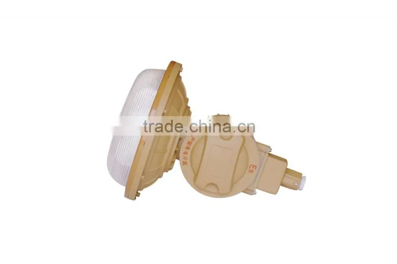 40w 50w 60w new products induction lamps explosion-proof lights
