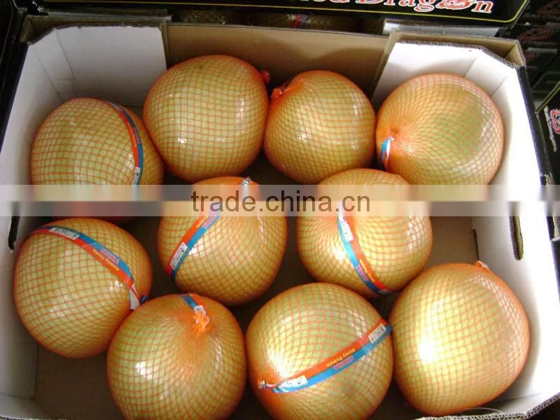 fresh honey pomelo supplier in china