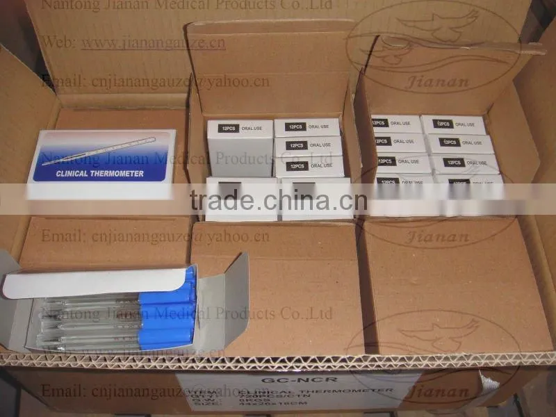 Mercury Thermometer