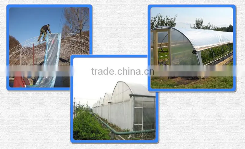 Hot Sale PE/EVA greenhouse transparent plastic film