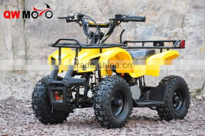 Hot Selling 36V 500W 800W 1000W Motor Electrical ATV Controller