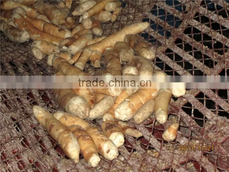 cassava starch production line cassava peeler and slicer/cassava peeling and slicing machine