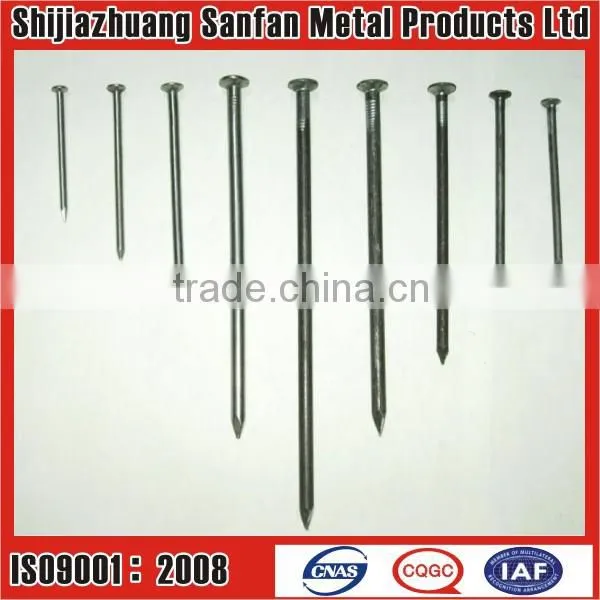 round head polished common iron nails