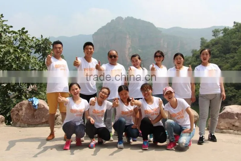 Easily assembled cheap galvanized welded wire mesh panels