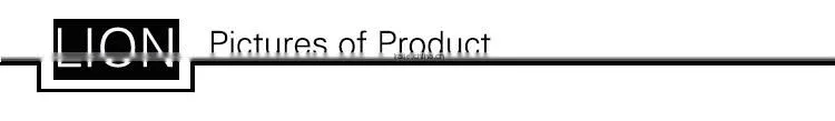 Lioncity V5010 clothes hanger