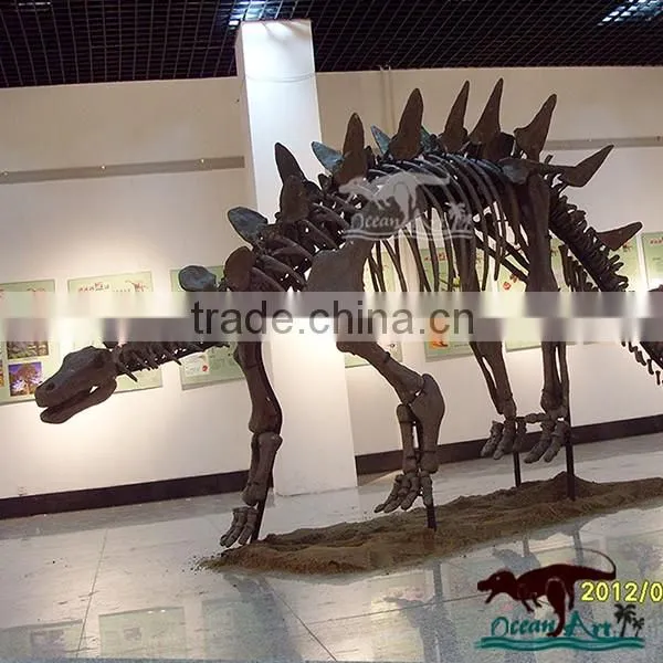 Life Size Dinosaur Fossil For Sale Inside Exhibition Display