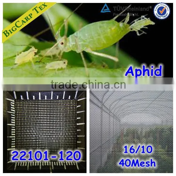 40Mesh 16/10, greenhouse anti insect net , anti aphid net