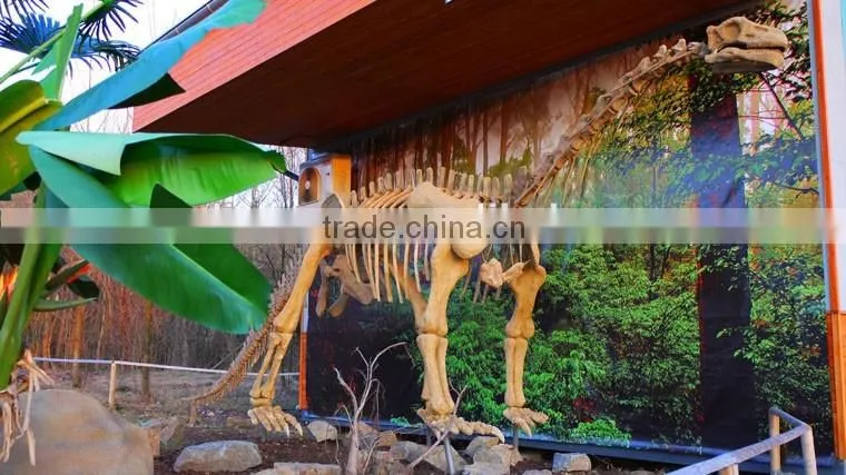 Museum Life size artificial dinosaur fossil replica