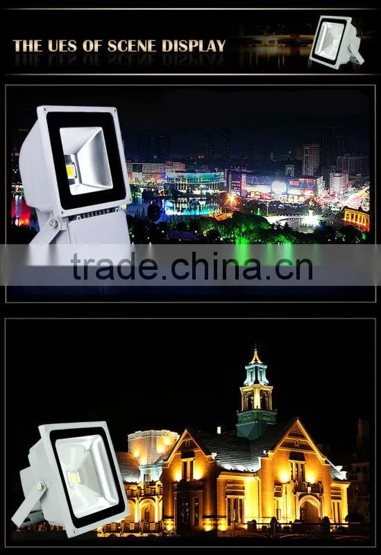 Generic Colorful 10w RGB LED Flood Light Landscape Lamp + Remote Control