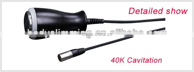 cryolipolysis Vacuum/Lipo Laser/Radio Frequency RF/Cavitation Slimming Beauty Machine